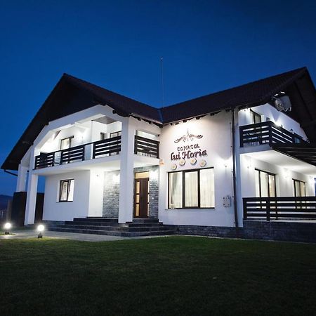 Pensiunea Conacul Lui Horia Bistriţa 外观 照片