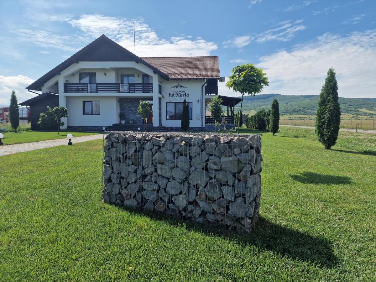 Pensiunea Conacul Lui Horia Bistriţa 外观 照片